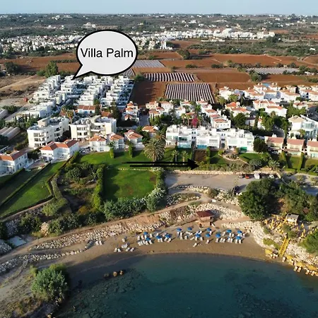 Palm *